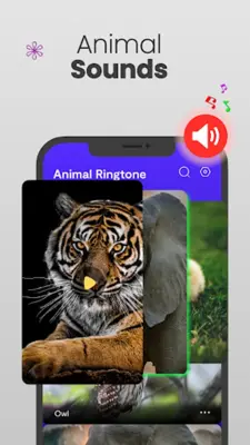 Animal Ringtones & wallpapers android App screenshot 2