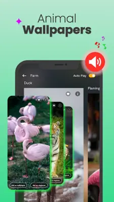 Animal Ringtones & wallpapers android App screenshot 4